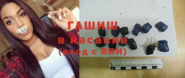 хмурый Белая Холуница