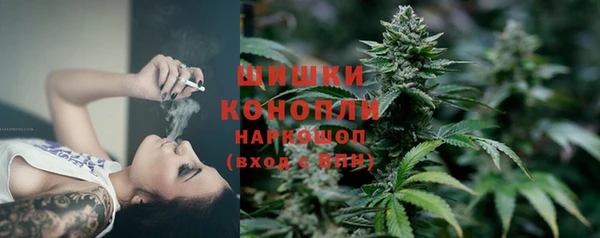 гидропоника Горно-Алтайск