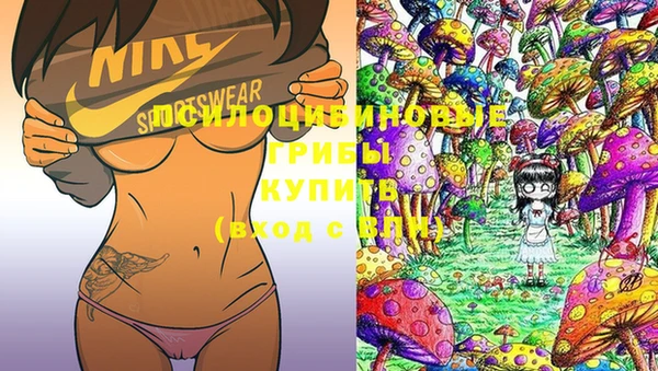 прущая мука Вязьма