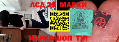 прущие крисы Будённовск