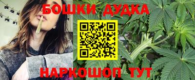 прущие крисы Будённовск
