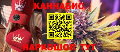 прущие крисы Будённовск