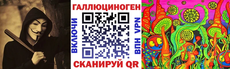 Галлюциногенные грибы мицелий купить наркотик Гудермес