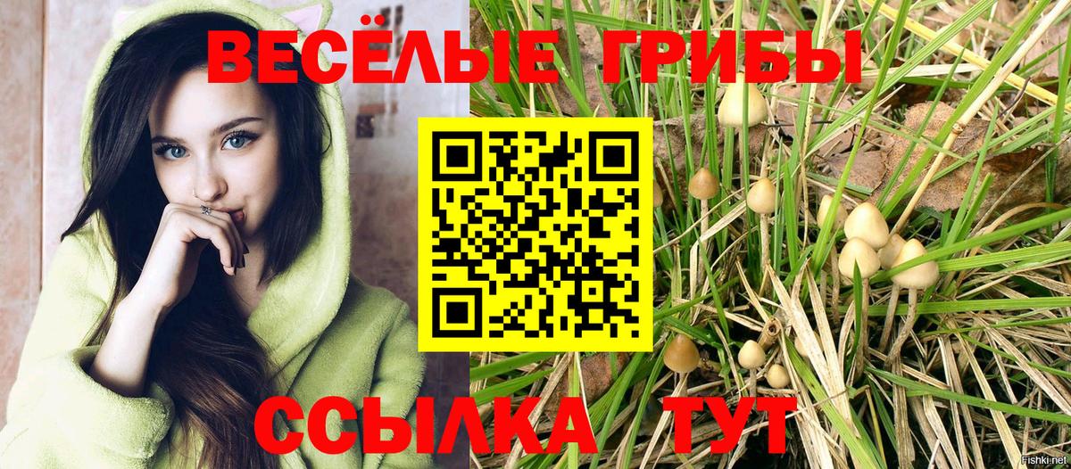 Гудермес  Псилоцибиновые грибы GOLDEN TEACHER  купить наркотик  Вход с VPN 